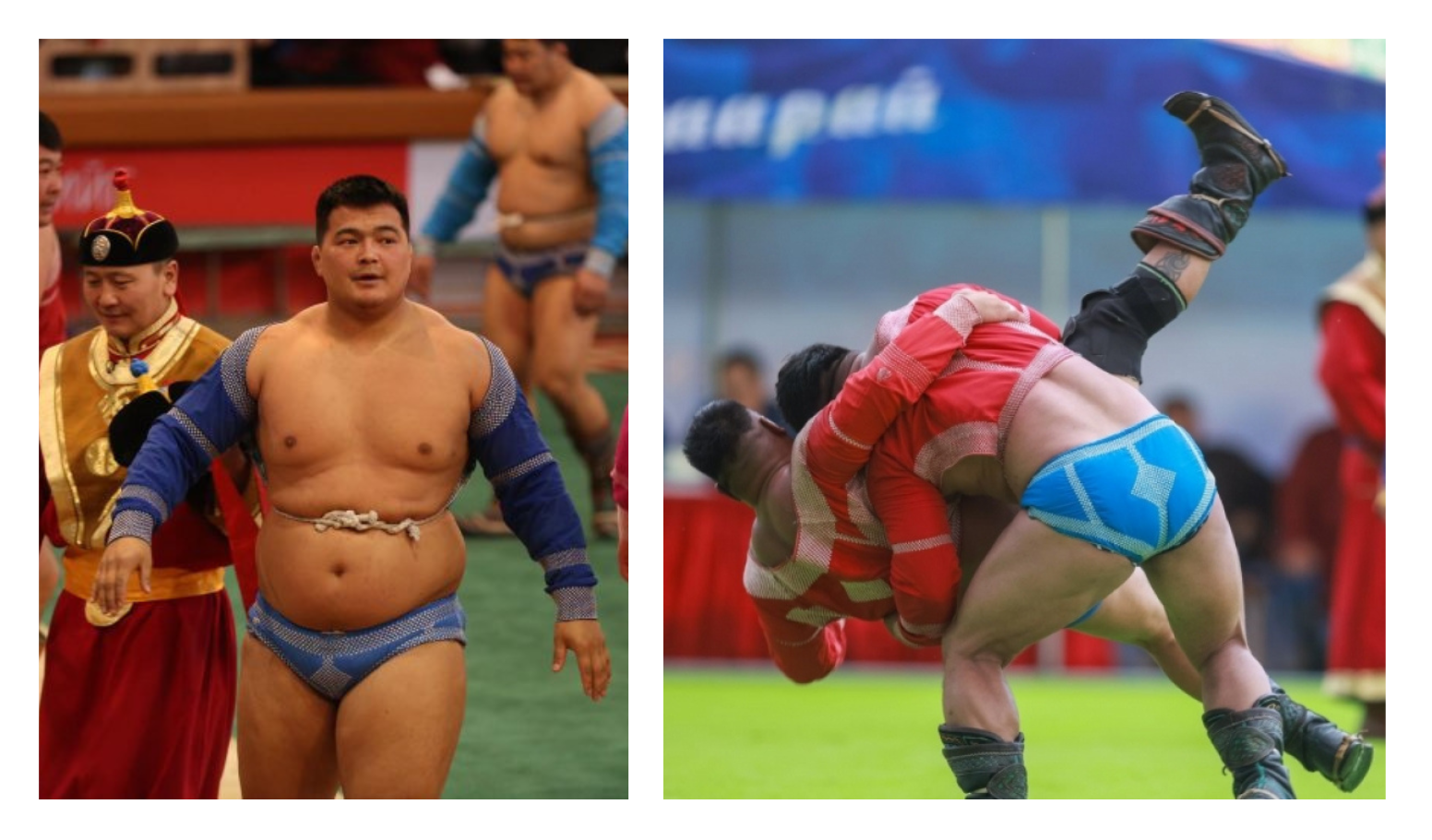 БӨХ: Үндэсний их баяр наадмын бөхийн барилдаанд шинээр долоон начин цолтон төрлөө