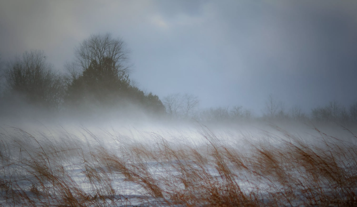 Нутгийн хойд болон зүүн хэсгээр нойтон цас орж, цасан шуурга шуурга