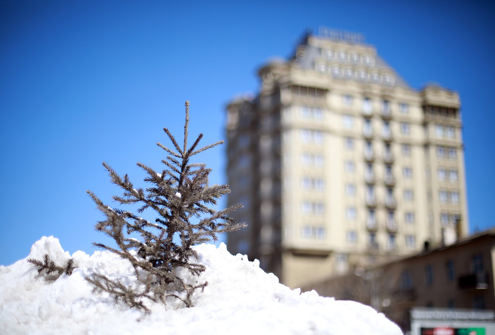 Улаанбаатар хотод 11 хэм дулаан байна