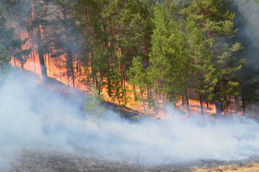 Ой, хээрийн түймрүүдийг цурманд оруулж, бүрэн унтраахаар ажиллаж байна