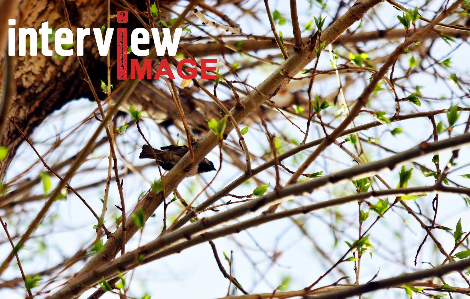 Улаанбаатарт 24 хэм дулаан байна