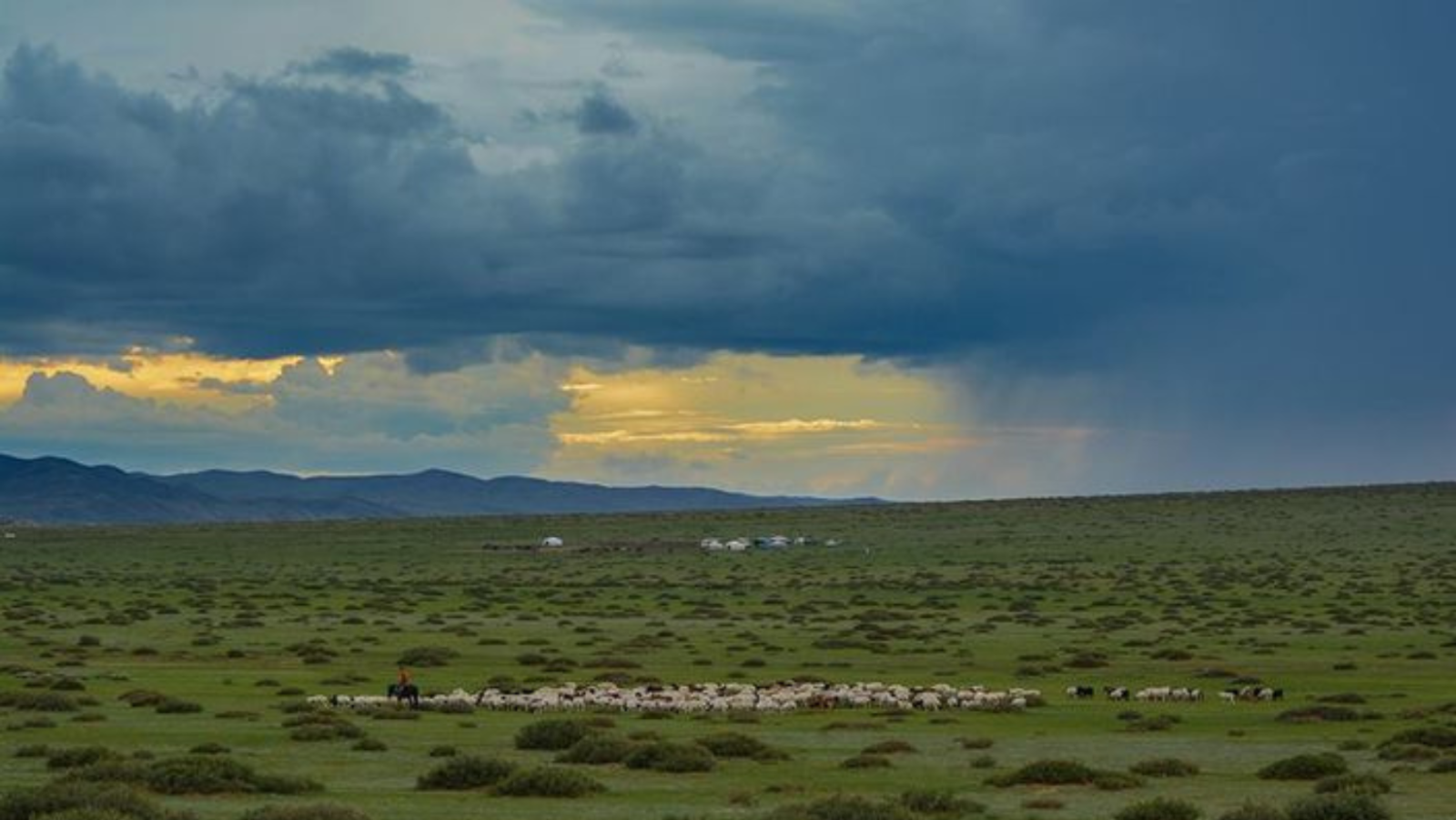 Ихэнх нутгаар бороо, нойтон цас орно