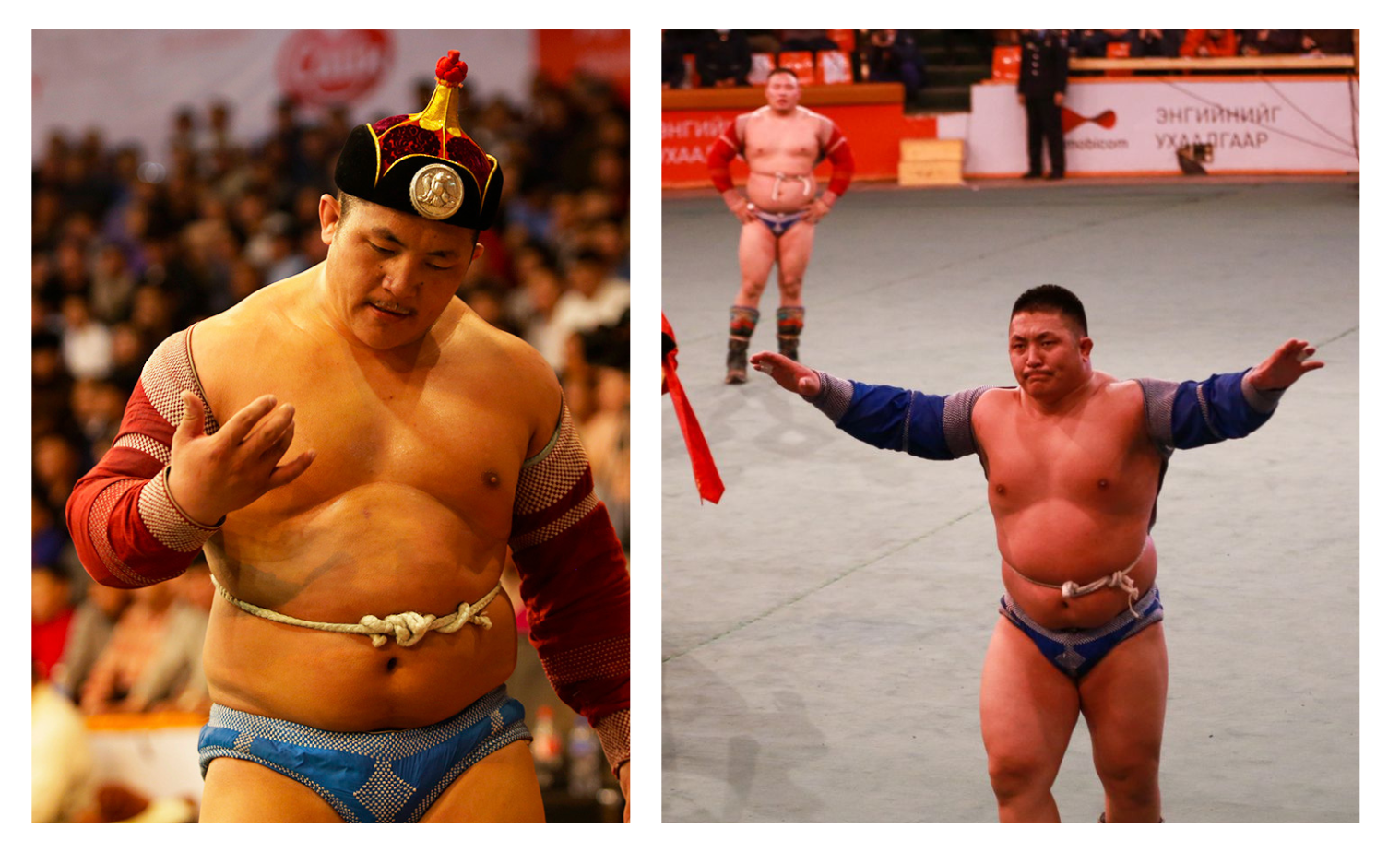 Улсын заан Б.Бат-Өлзий бөхчүүдийн чансааг тэргүүлжээ