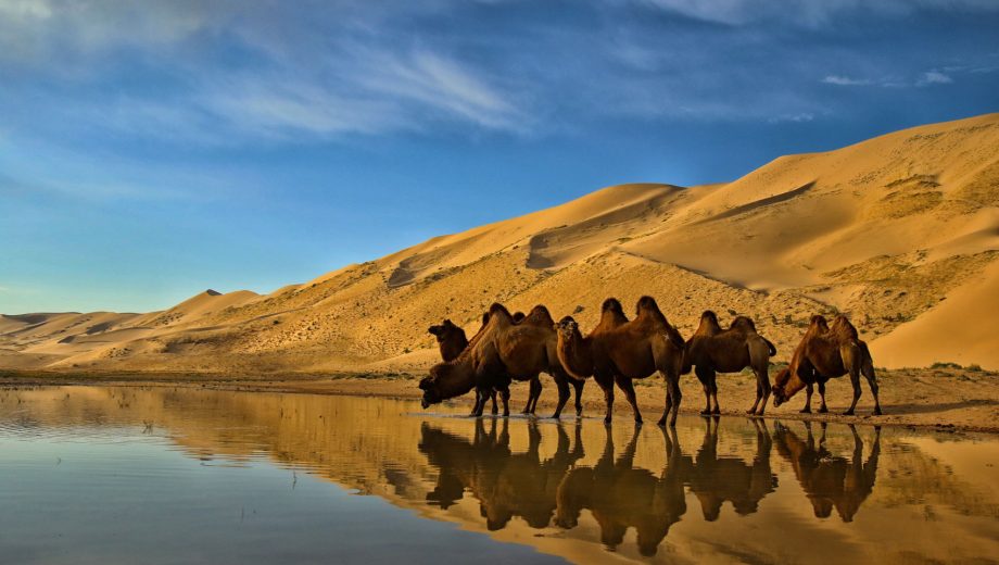 Говийн бүс нутгийн өмнөд хэсгээр өдөртөө 32 градус хүрч хална