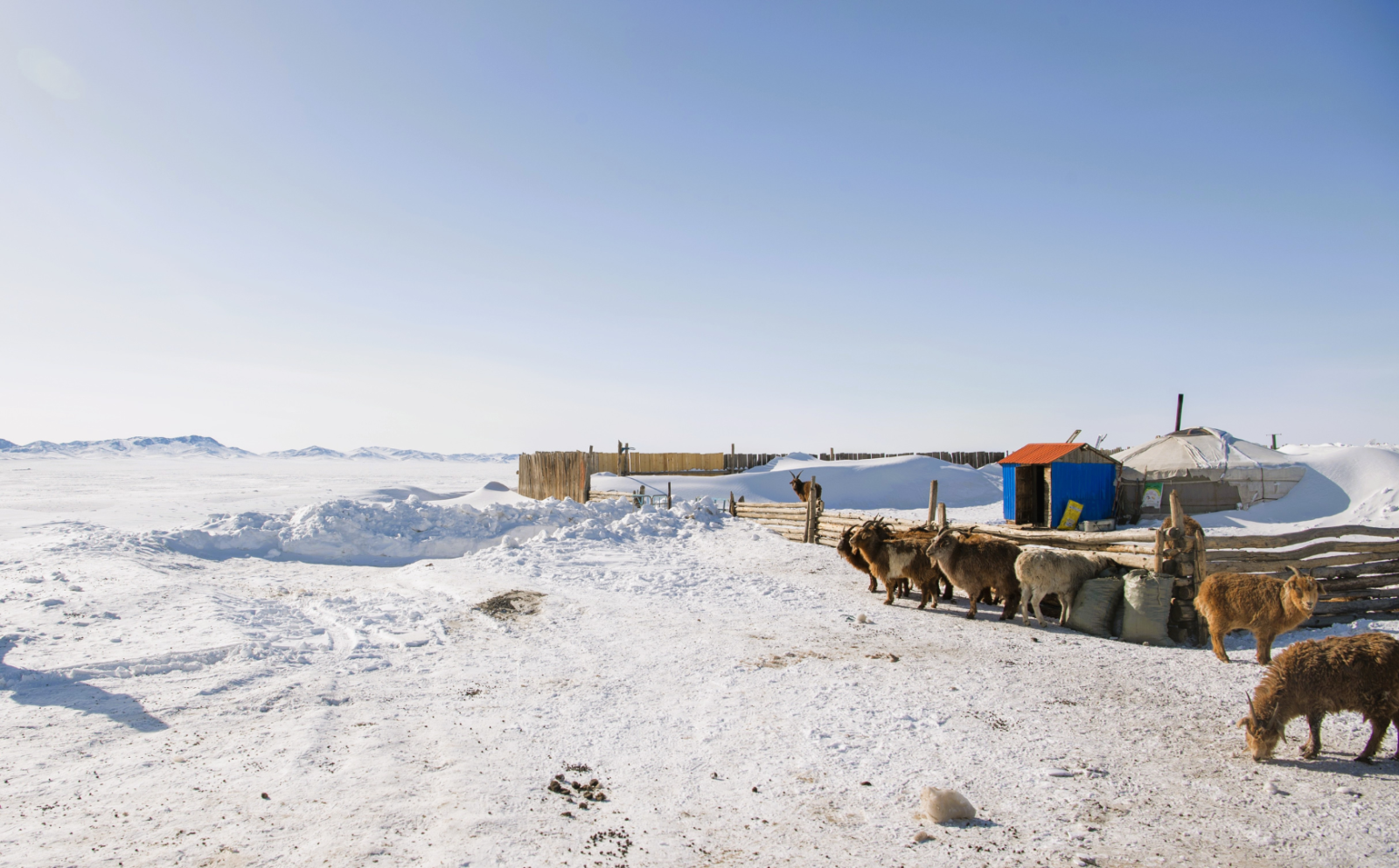 Нийт нутгийн 22 хувьд зудын эрсдэл өндөр байна