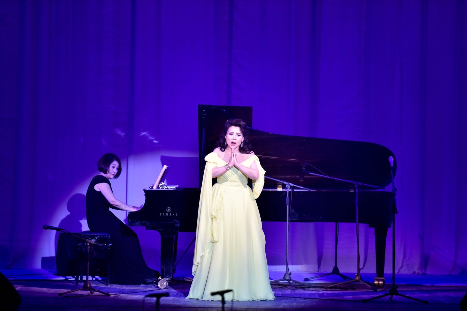 Ш.Наранчимэг: Хүн хоолойгоор бус ухаанаар дуулдаг