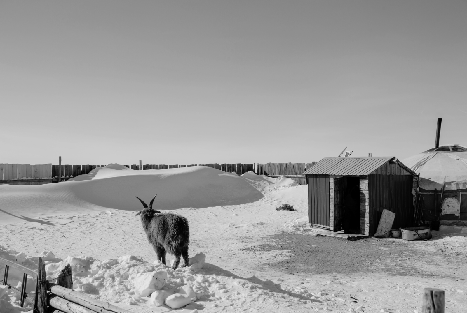 Баян-Өлгий, Увс, Ховдын ихэнх, Хөвсгөл, Өвөрхангай, Архангай, Баянхонгор, Төвийн зарим нутгаар зудын хүндрэл үүсэх төлөв гарчээ