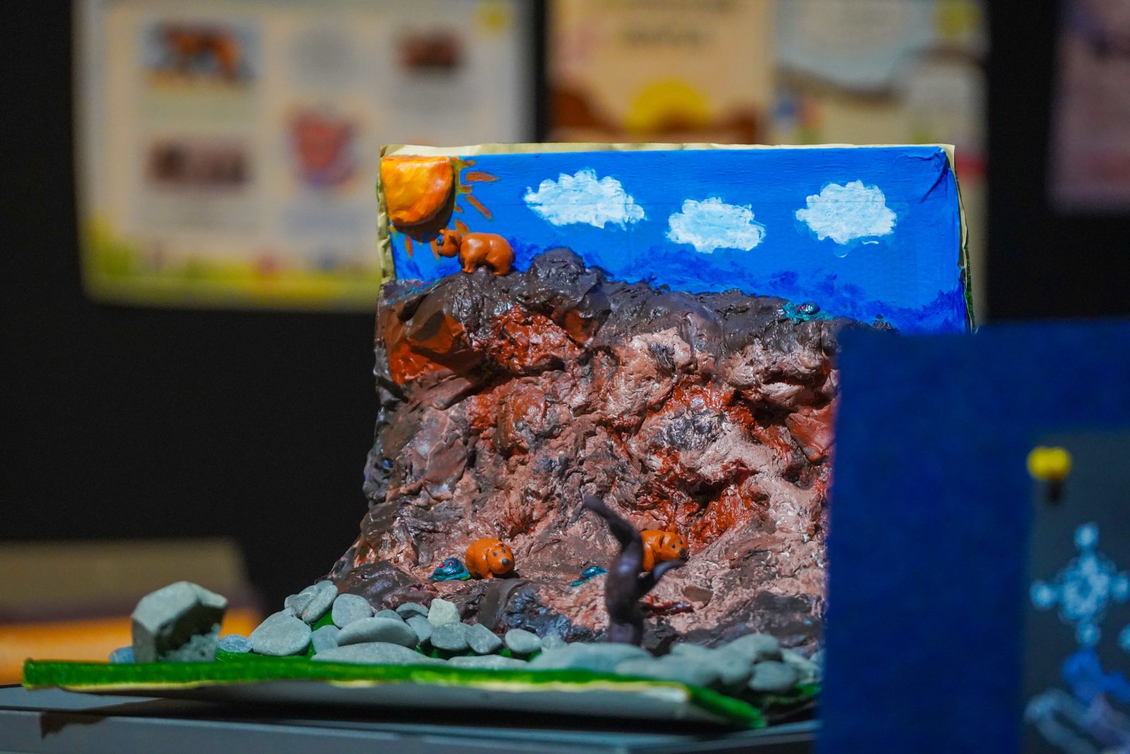 Мазаалай баавгайг таниулах үндэсний хөтөлбөр”-т 10,000 гаруй хүүхэд, залуус хамрагдлаа